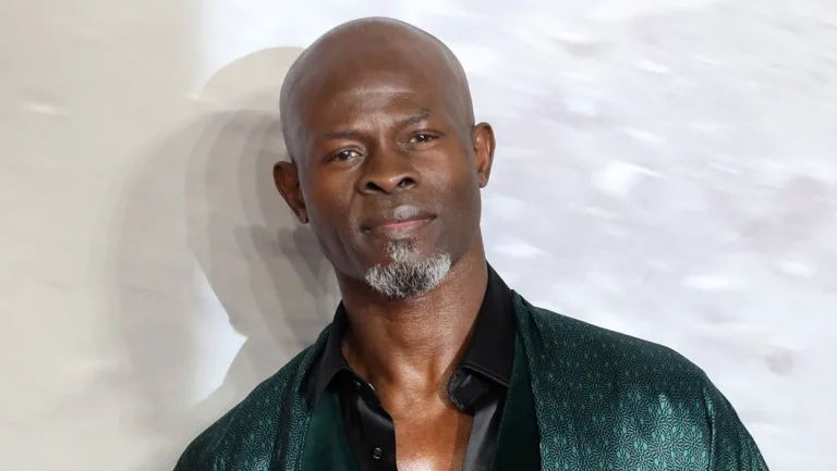 Wie hoch ist das Vermögen von Djimon Hounsou? djimon hounsou